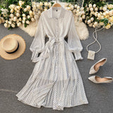 Fashionable A Line Polka Dot Long Sleeve Dress Fashion Dress HZ1023