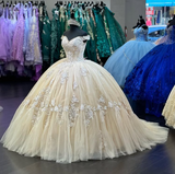 Champagne gorgeous exquisite lace applique off-shoulder long quinceanera dress 15 years old prom dress debutante dress prom dress HZ1023
