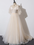 Beautiful Champagne Tulle Long A-Line Party Dress, Evening Gown HZ1023