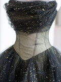 Black ball gown long prom dress, black evening dress HZ1023